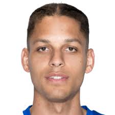 Daniel Hoein Opponents