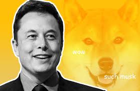 Give elon musk a round of applause. Elon Musk Wins Dogecoin Ceo Poll Calls The Meme Inspired Coin A Fave Observer