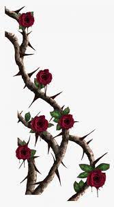 11 Things You Should Know About Cartoon Rose Vine Cartoon Rose Vine Www Flower Cartoon Rose Vine Wwwflower Rose Vines Rose Vine Tattoos Cartoon Rose