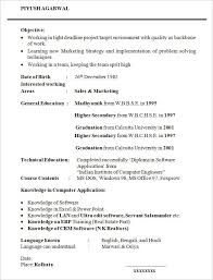 24 Student Resume Templates Pdf Doc Free Premium Templates