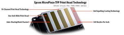 For more than a decade, epson has set the standard by which all other photographic printing technologies are judged. Epson Stylus Pro 7900 Inkjet Printer 24in Sp7900hdr Fotoclub Inc