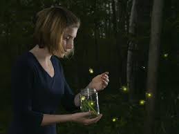 Firefly Magic Myths And Legends