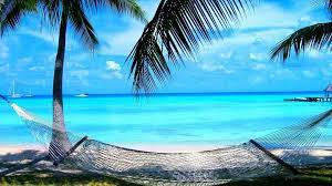 You can choose the image format you need and install it. Summer Computer Backgrounds Desktop Background Summer Scenes 1920x1080 Wallpaper Teahub Io