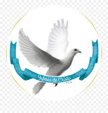 Maybe you would like to learn more about one of these? Iglesia De Cristo Carros Rayados Homing Pigeon Png Free Transparent Png Images Pngaaa Com
