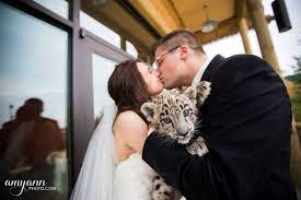 Columbus Zoo Aquarium Reception Venues Zoo Wedding Columbus Zoo Safari Wedding