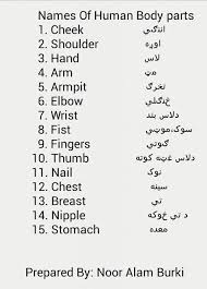 See full list on en.wikipedia.org Toda S Word Names Of Human Body Parts Like And Share English Words With Pashto Meaning Ø§Ù†Ú¯Ù„Ø³ÛŒ Ù„ØºØ§ØªÙˆÙ†Ù‡ Ø³Ø±Ù‡ Ù„Ù‡ Ù¾ÚšØªÙˆ Ú˜Ø¨Ø§Ú'Û Facebook