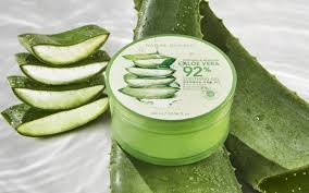 Cara memakainya yaitu bisa dengan menambahkan beberapa tetes jus lidah buaya pada sampo ketika akan dikeramas, atau dengan menggosokkan lidah buaya langsung pada akar rambut sampai ke ujung. Cara Menggunakan Aloe Vera Gel Untuk Rambut June 2021