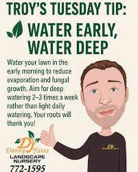 Troy's Tuesday Tip! #palmtrees #plants #landscapedesign #landscaping  #landscapelighting