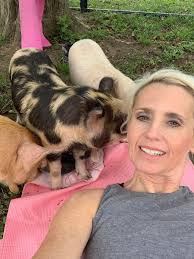 How to get involved in organizing yoga events for animal rescues?