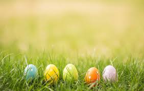 Wann sucht man die ostereier/hasen. News Medientipps Zu Ostern Fur Die Grundschule