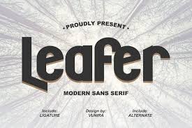 While serif fonts are known to be more traditional, sans serif fonts bring that much needed modernistic touch to the design. Leafer Modern Sans Serif 851247 Sans Serif Font Bundles