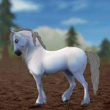 Weitere ideen zu star stable, sso pferde, pferde. First Sso Edit Tips Appreciated Starstable
