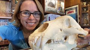 Whaler's Locker collectibles store continues after Front Street fire