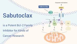Image result for BCL2 Inhibitor