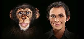 Różnica między małpą a człowiekiem | Sprawdź różnice