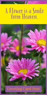1:52 inspire uplift trending 10 989 просмотров. 57 Flower Quotes To Appreciate Nature S Beauty Greeting Card Poet