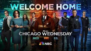 Chicago P.D. Season 11: Next Episode And Everything We Know | What To Watch