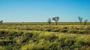 Walgett shire proudly offers all the ingredients for a great outback holiday;scenery,relaxation, recreation and revitalisation. Belvedere Walgett Brewarrina Northern Nsw Webster Nolan Real Estate