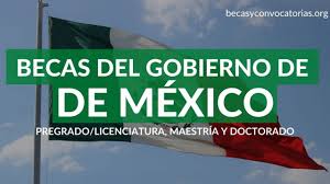 Información y gobierno abierto para todos. Becas Del Gobierno De Mexico Para Extranjeros