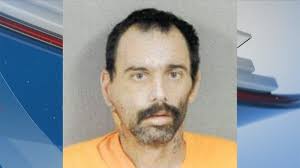 Man arrested for punching border patrol officer during LA protests,  Homeland Security Department says