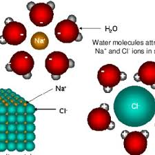 Nacl is commonly called salt that being used daily for cooking. Graphical Representation Of Na And Cl Ion Effects On Water The Nacl Download Scientific Diagram