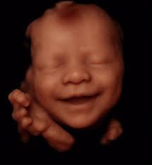 Transforming 3D Ultrasound Photos into Stunning 8K Images