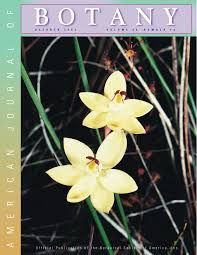 Image result for Caucanthus auriculatus