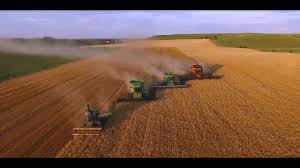 This article is about the item used to make flour. Kansas Wheat Harvest Youtube