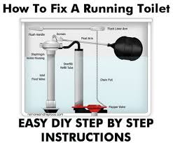 I ordered a replacement flapper. How To Fix A Running Toilet Simple Diy Solutions Decorated Life