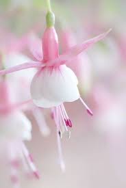 Pin On Love