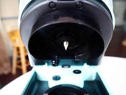 On average, a keurig coffee maker that is used daily has a lifespan of approximately 5 years. Keurig Needle Maintenance How To Clean A Keurig Needle Fast Simple Coffee Affection