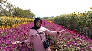 Taman bunga firdaus, warunggunung, jawa barat, indonesia. Taman Bunga Bpi Destinasi Wisata Kekinian Satubanten Com