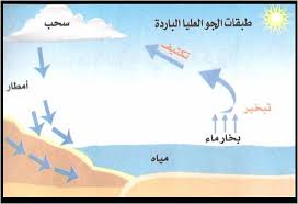 المناخ والزراعة البيئية Climate Agroecology ظاهرة تكاثف الهواء Condensation