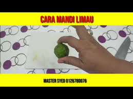 Daun limau purut tidak ubah seperti limau biasa kecuali daunnya beranak manakala buahnya bulat tetapi menggerutu dengan rasa masam dan pahit. Cara Mandi Limau Buang Penyakit Dan Sihir Youtube