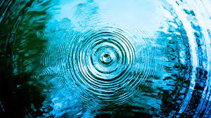 The price of ripple's crypto token xrp has gone up more than 20 percent in 2020. Investing In Ripple Is Ripple Worth Investing In 2020 Trade Crypto Pro