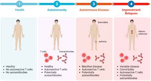 Image result for Autoimmunity