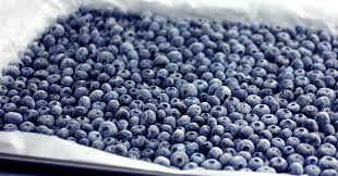 Remove the air to prevent drying and freezer burn. The Right Way To Freeze Berries This West Coast Mommy