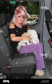 Image result for tbn:9EYqqyWi5HceOM::www.4photos.net/photo/72small_1205339045.jpg