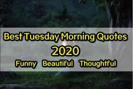 Tuesday is only the beginning of the week. Tuesday Morning Quotes 2021 Funny Beautiful And Thoughtful Quotes