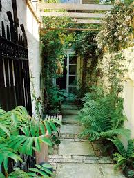 Shady Side Passage Narrow Garden Small Garden Design Landscape Design
