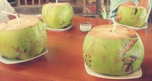 Sejauh mana kesahihan kelebihan dan kebaikan air kelapa, nyor, nyiur atau. Kebaikan Air Kelapa Encikshino Com