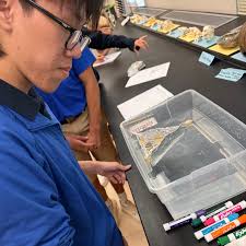⛵ Physics students started off the year strong with an intro to  experimental design. Each student was given the same materials and  approximately 20 minutes to make a boat, with the overall