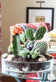 The most common cactus garden gift material is metal. 25 Ideas For Tabletop Gardens And Terrariums Cactus Garden Succulents Cactus
