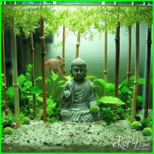 Anda sedang tertarik untuk memelihara ikan cupang? 10 Gambar Aquarium Ikan Cupang Unik Minimalis Baik Untuk Hias Dan Petarung Dunia Fauna Hewan Binatang Tumbuhan Dunia Fauna Hewan Binatang Tumbuhan