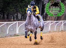 El muñeco cuadra los compadres un...