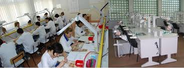 Facultatea De Medicină și Farmacie