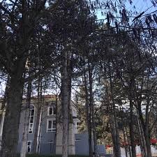 Time in emet is now 11:59 pm (tuesday). Tavsanli Turkei Tourismus In Tavsanli Tripadvisor