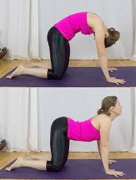 Available to unlock after completing singapore in empire of cats : 12 Yoga Stretches Every Spin Enthusiast Needs Sparkpeople
