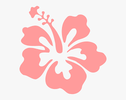 Check spelling or type a new query. Hibiscus Clipart Coral Transparent Background Hawaiian Flower Clipart Hd Png Download Kindpng