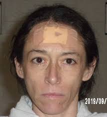 Woman 'Most Wanted' for missing court